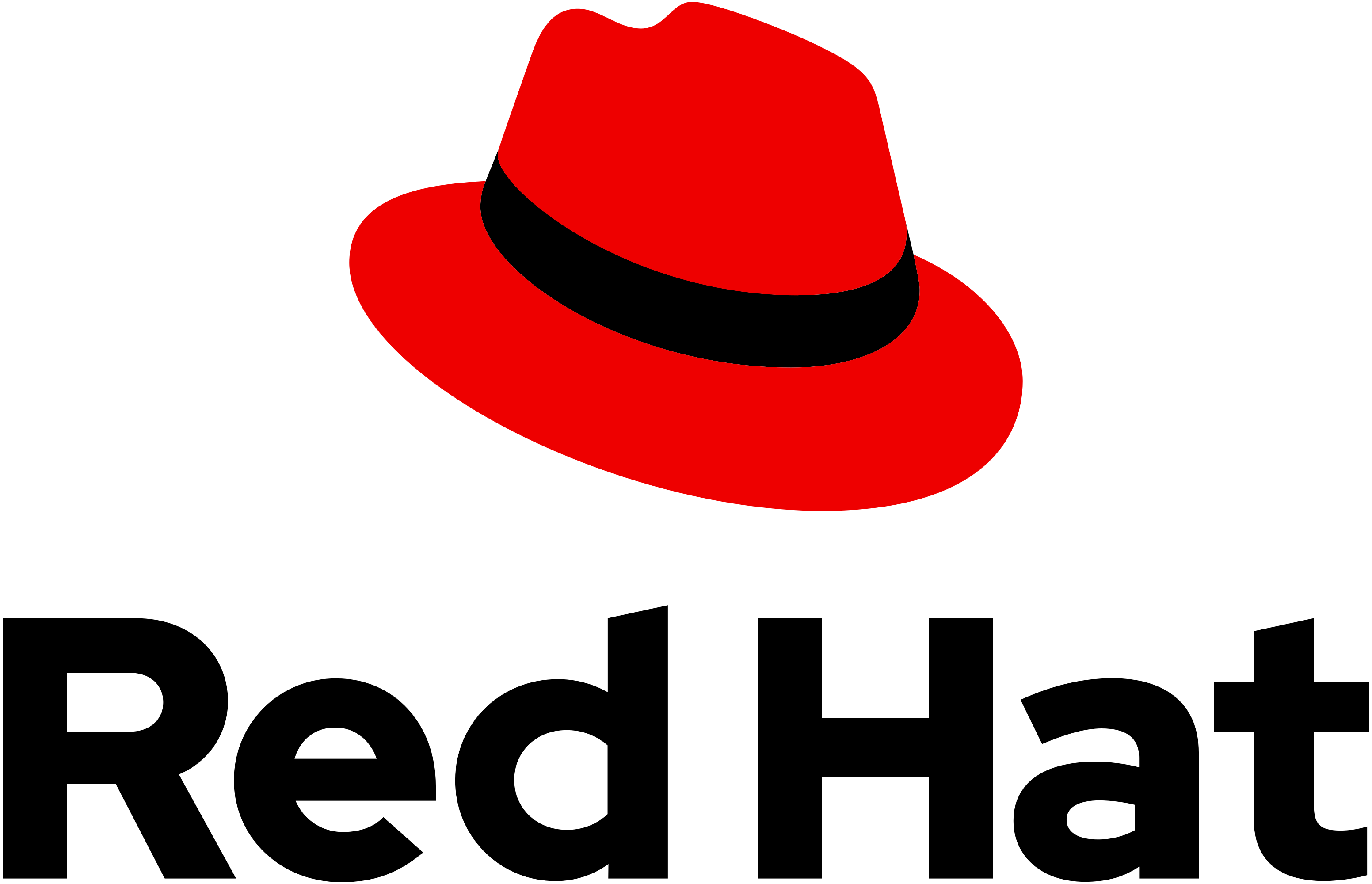 Logo-Red_Hat-B-Standard-RGB.Large-logo-transparent